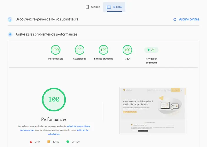 Test PageSpeed Insights sur ordinateur : score de performances de 100