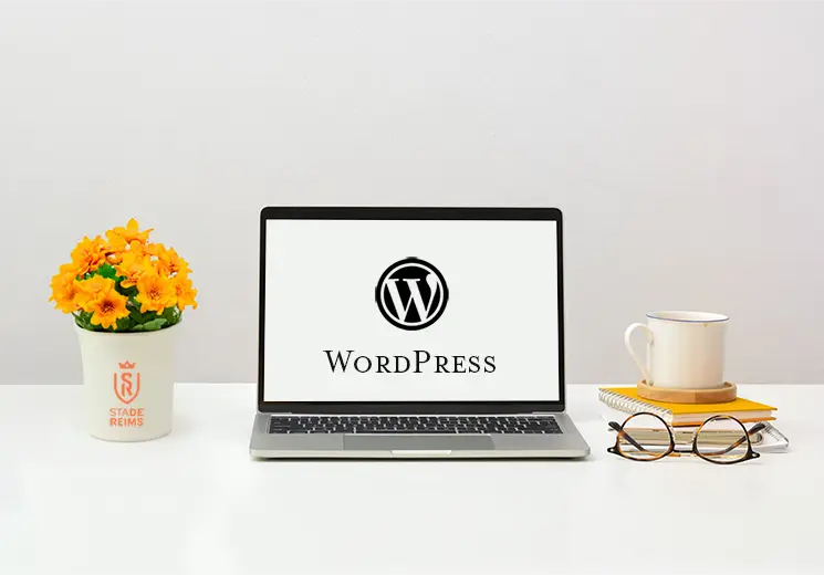 Expert en création de site WordPress à Reims